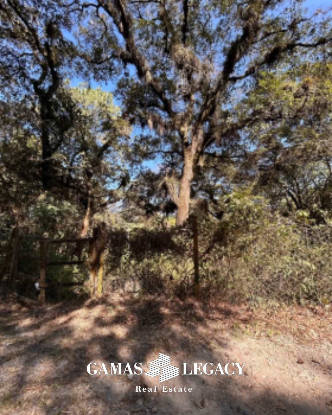 Foto 4 Terreno El Encinal